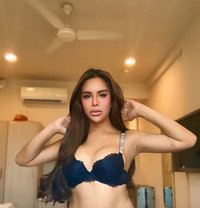 sabrina ( NEW FACE ) just landed - escort in Hyderabad