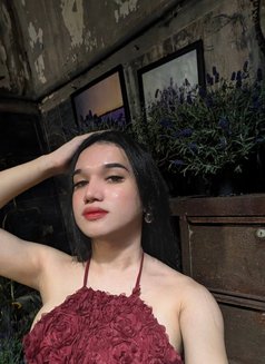 Sachi Cake - Transsexual escort in Manila Photo 6 of 13