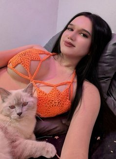Sachi Cake - Transsexual escort in Manila Photo 7 of 13