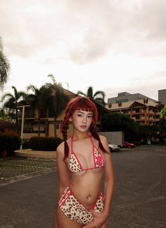 Sachi Sy - Transsexual escort in Manila Photo 27 of 27
