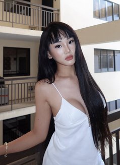 Yuki Sachi - Transsexual escort in Manila Photo 4 of 15