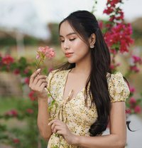 Sachie kim desires expertise - escort in Taipei Photo 24 of 26