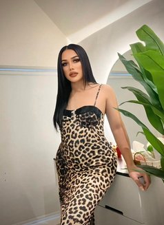 ⚜️⚜️sadia_top_both⚜️⚜️ - Acompañantes transexual in Riyadh Photo 8 of 26