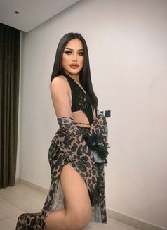 ⚜️ Sadia top both ⚜️ - Transsexual escort in Riyadh Photo 30 of 30