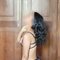 Sadu GIF - 20Y Old Outcall Only - puta in Colombo Photo 2 of 14
