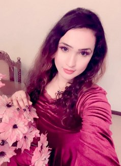 Sadu+ QUEEN OF CUTENESS - Transsexual escort in Colombo Photo 15 of 25