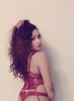 Sadu+ QUEEN OF CUTENESS - Transsexual escort in Colombo Photo 18 of 25