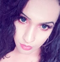 Sadu+ QUEEN OF CUTENESS - Acompañantes transexual in Colombo