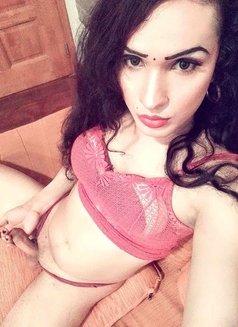 Sadu+ QUEEN OF CUTENESS - Acompañantes transexual in Colombo Photo 15 of 19