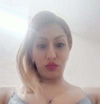 Saffy Shemale - Transsexual escort in Chandigarh