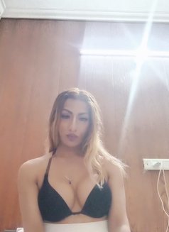 Saffy Shemale - Transsexual escort in Chandigarh Photo 25 of 29