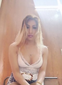 Saffy Shemale - Transsexual escort in Chandigarh Photo 29 of 29