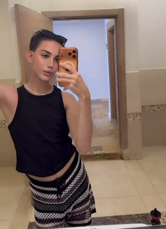 Safi - Male escort in Amman Photo 1 of 1