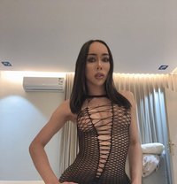 BigBoth Hard Popper - Transsexual escort in Doha