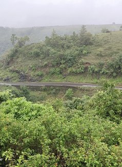 Sahil Khan - Acompañantes masculino in Akola Photo 11 of 11