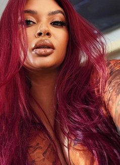 Saige - escort in Johannesburg Photo 3 of 8