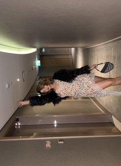 Saina - escort in Dubai Photo 1 of 4