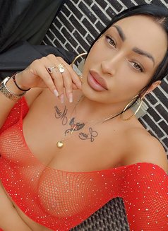 Saira - escort in London Photo 7 of 7