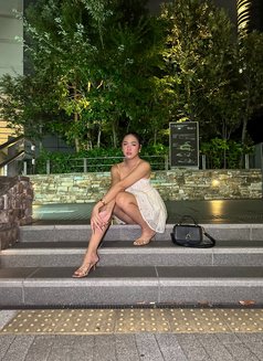 SAKAE 11/20-11/27 - Acompañantes transexual in Nagoya Photo 7 of 7