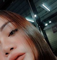 Saki69 - Acompañantes transexual in Manila