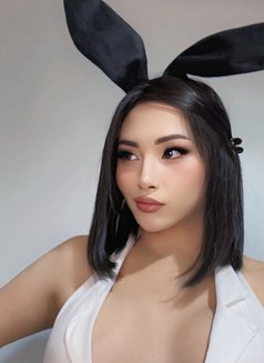 Prettyboy - Transsexual escort in Abu Dhabi Photo 1 of 2