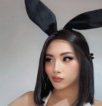 Prettyboy - Transsexual escort in Abu Dhabi