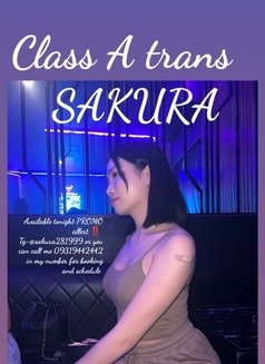 Sakura - Acompañantes transexual in Manila Photo 8 of 9