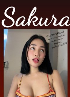 Sakura - Transsexual escort in Manila Photo 11 of 15