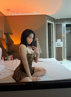 Sakura - Transsexual escort in Manila Photo 19 of 19
