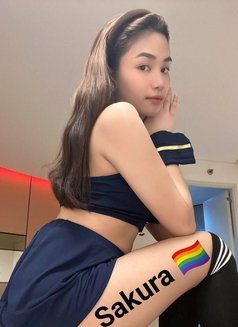 Sakura - Transsexual escort in Manila Photo 3 of 12