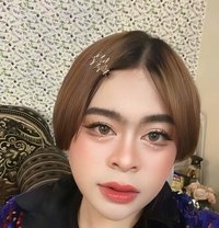 Sakura New Ladyboy - Acompañantes transexual in Muscat