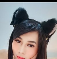 Saky Ladyboy - Transsexual escort in Şalālah