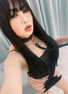 Sala Ladyboy - Transsexual escort in Riyadh Photo 1 of 7