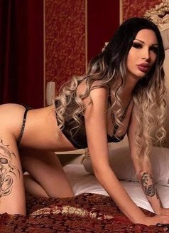 Salava New in Riyadh - Transsexual escort in Riyadh Photo 1 of 13