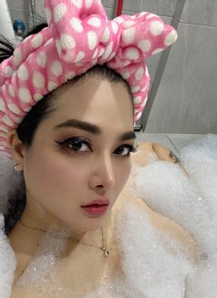 Salena Thai Lady - escort in Al Manama Photo 14 of 14