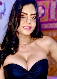 Sally - Acompañantes transexual in Cairo Photo 24 of 28