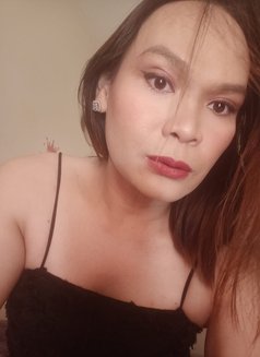 Sally - Acompañantes transexual in Ajmān Photo 12 of 13