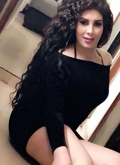 Sally - Acompañantes transexual in Beirut Photo 1 of 12