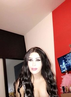 Sally - Acompañantes transexual in Beirut Photo 3 of 12
