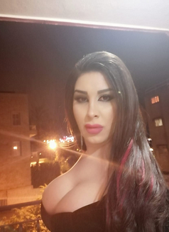 Sally - Transsexual escort in Beirut Photo 9 of 12