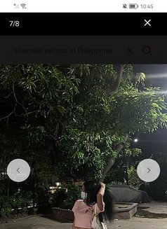 Sam - Male escort in Makati City Photo 1 of 1