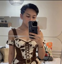 Sam - Transsexual escort in Jeddah