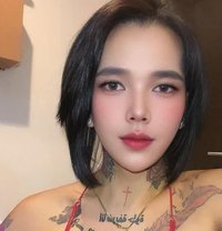 SAM - Transsexual escort in Kuwait