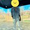 Sam - Male escort in Pune