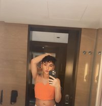 سام 🦋Sam - Male escort in Dubai