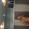 Sam0007 - Male escort in Nagpur