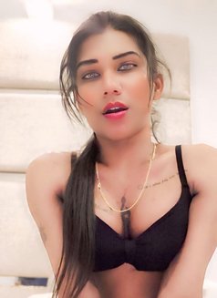 Samaira - Acompañantes transexual in Ahmedabad Photo 21 of 22