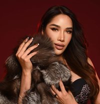 Samantha - Acompañantes transexual in Paris