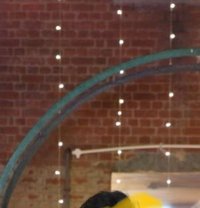 Samar - Male escort in New Delhi