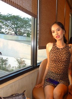 Samara Fucker - Transsexual escort in Manila Photo 3 of 5